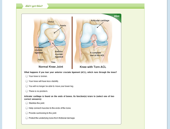Anatomy & Physiology I & II