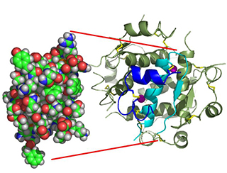 The Science and Business of Biotechnology