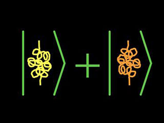 Quantum Information Science I