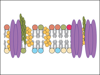 Pre-7.01: Getting up to Speed in Biology