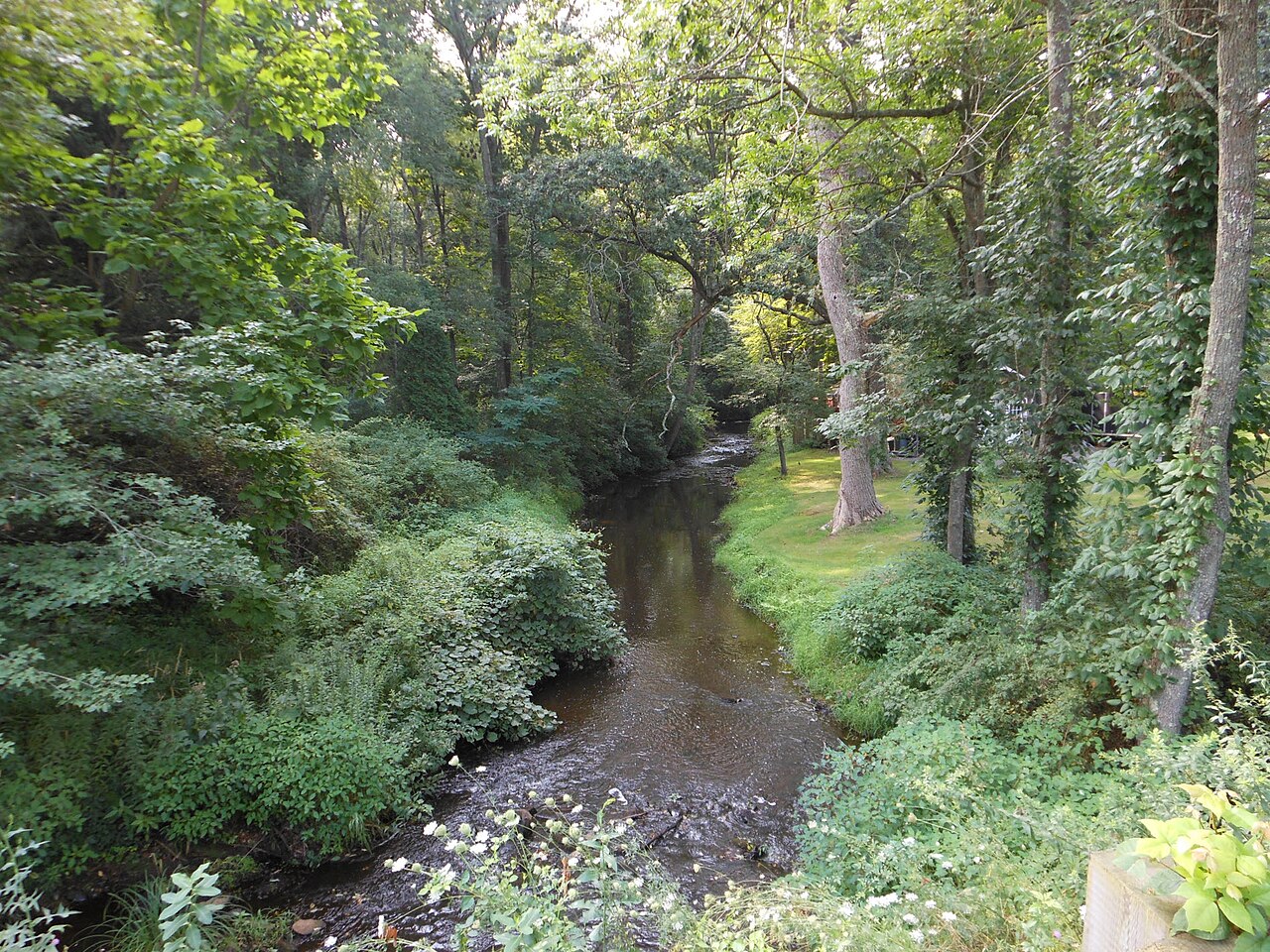 Forge River Raynham.jpg