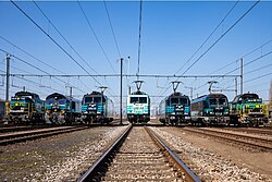 Seven different types of locomotive in Lineas livery on parallel tracks