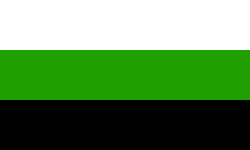 A flag consisting of three equal-spaced horizontal stripes, from top to bottom: white, green, black.