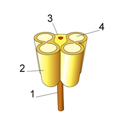 Diagram of anther in cross section. 1: Filament; 2: Theca; 3: Connective (conducting vessels in red); 4: Pollen sac