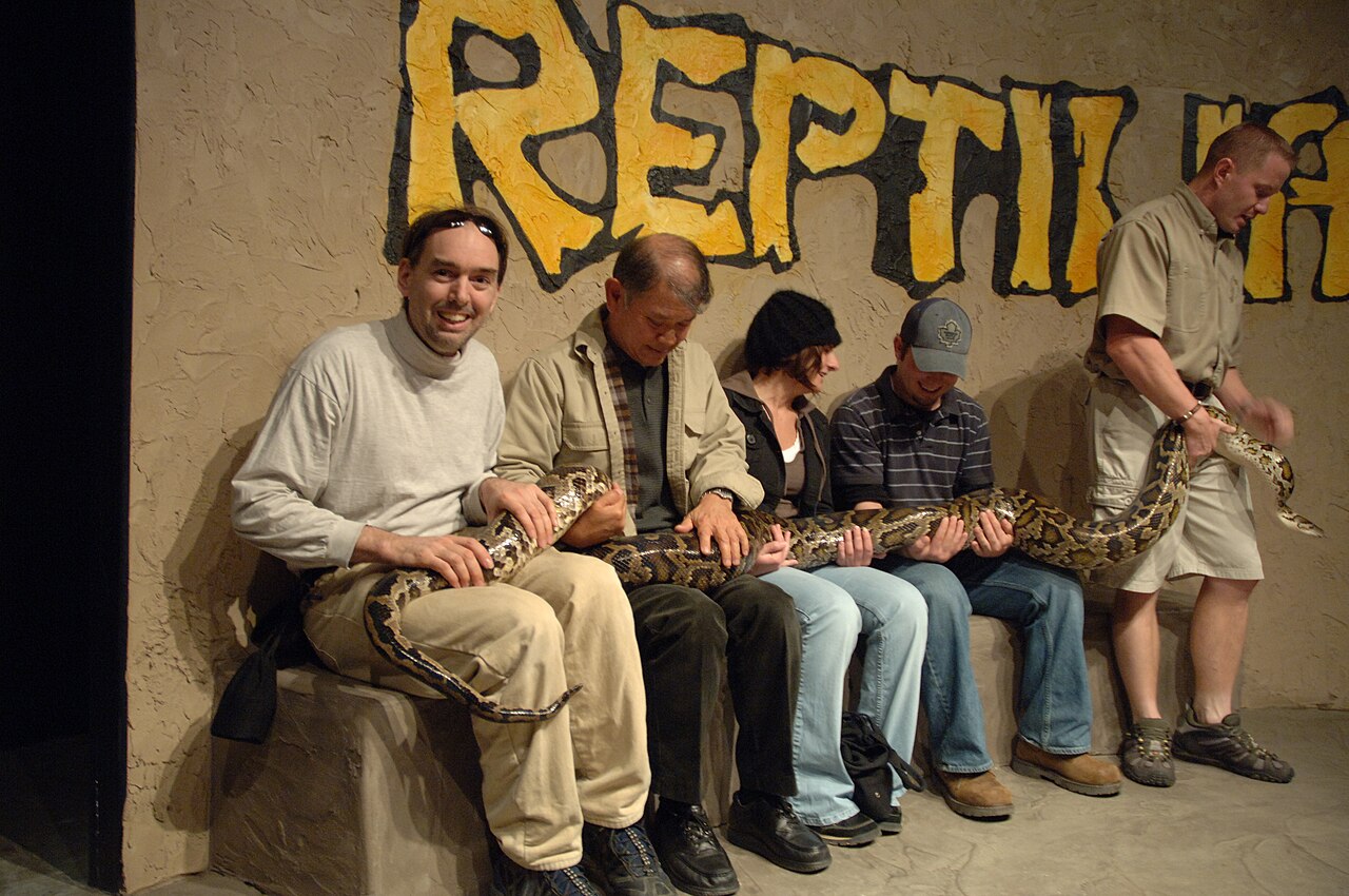 Reptilia audience members handling burmese python dsc 0083.jpg