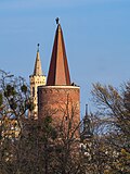 Piast Tower