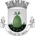 Coat of arms of Mêda