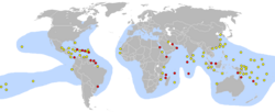 This world map shows concentrated nesting sites in the Caribbean and northeast coast of South America. Many other sites are spread across South Pacific islands, with other concentrations in the Red Sea and Persian Gulf, China's East coast, Africa's southeast coast and Indonesia.