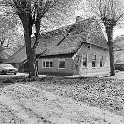 Farm in Lhee