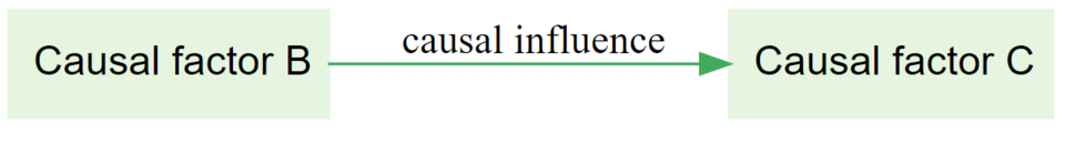 part of a causal map showing how Factor B causally influences Factor C