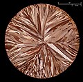 Cross section of an Aurubis copper billet