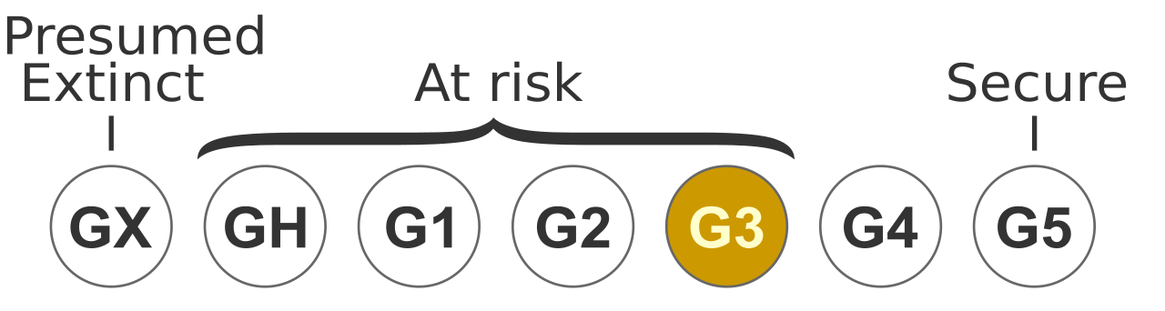 Status TNC G3.svg