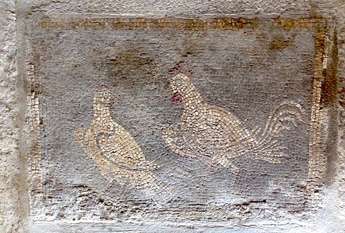 Mosaic from door threshold