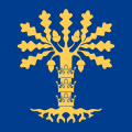 Flag of Blekinge County