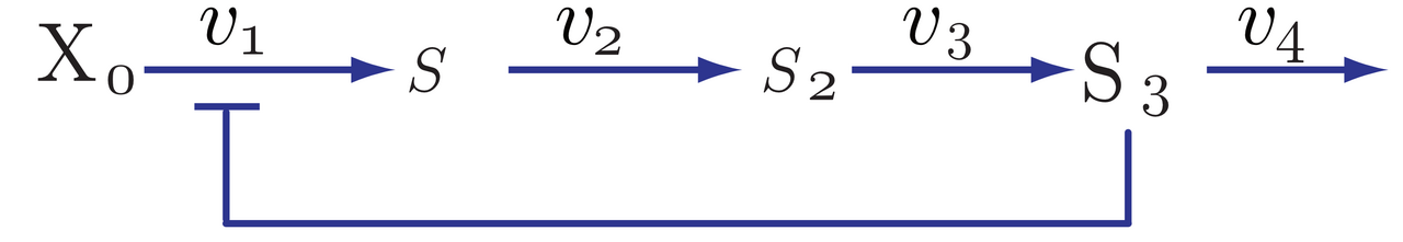 NegFeedback FourSteps SNames.png