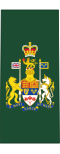 Insignia of a chief warrant officer