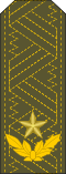 General de brigada (Cuban Revolutionary Army)[22]