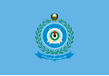 Flag of the United Arab Emirates Air Force