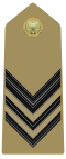 Caporal maggiore (Italian Army)[2]