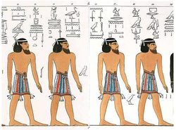 Aamu people (𓂝𓄿𓅓𓅱 characters spread alongside each individual) in the Book of Gates (rendering)