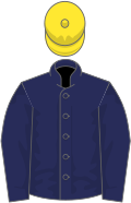 Royal blue, yellow cap