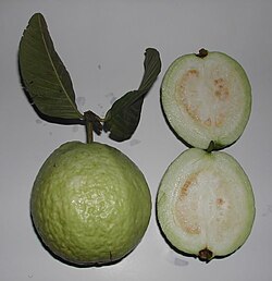 White guava