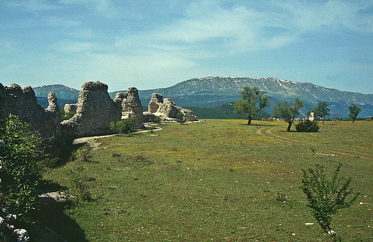 AbrPeltuinum3.jpg