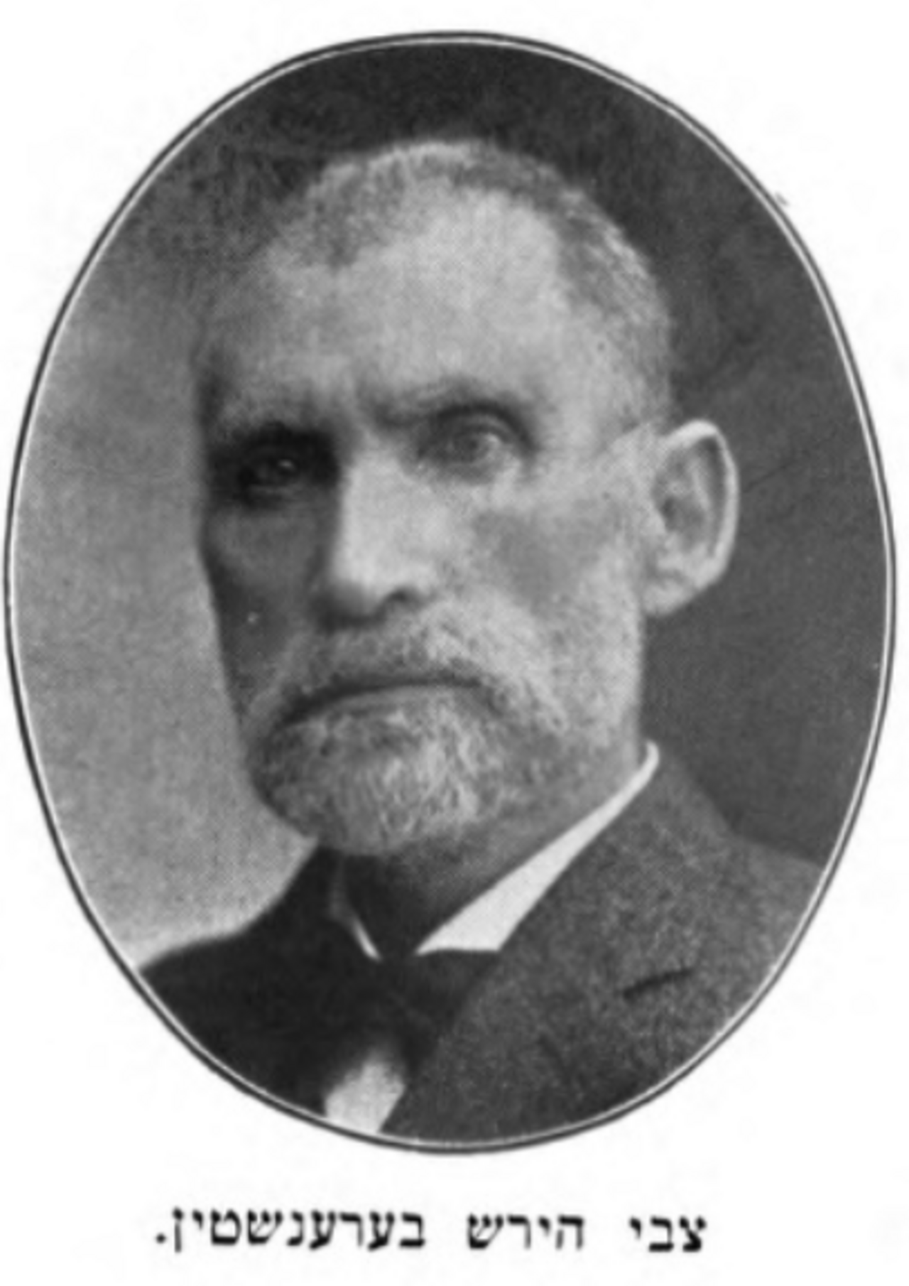 צבי הירש ברנשטיין.png