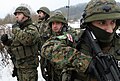 Georgian Land Forces soldiers, which used MARPAT as standard-issue until 2014