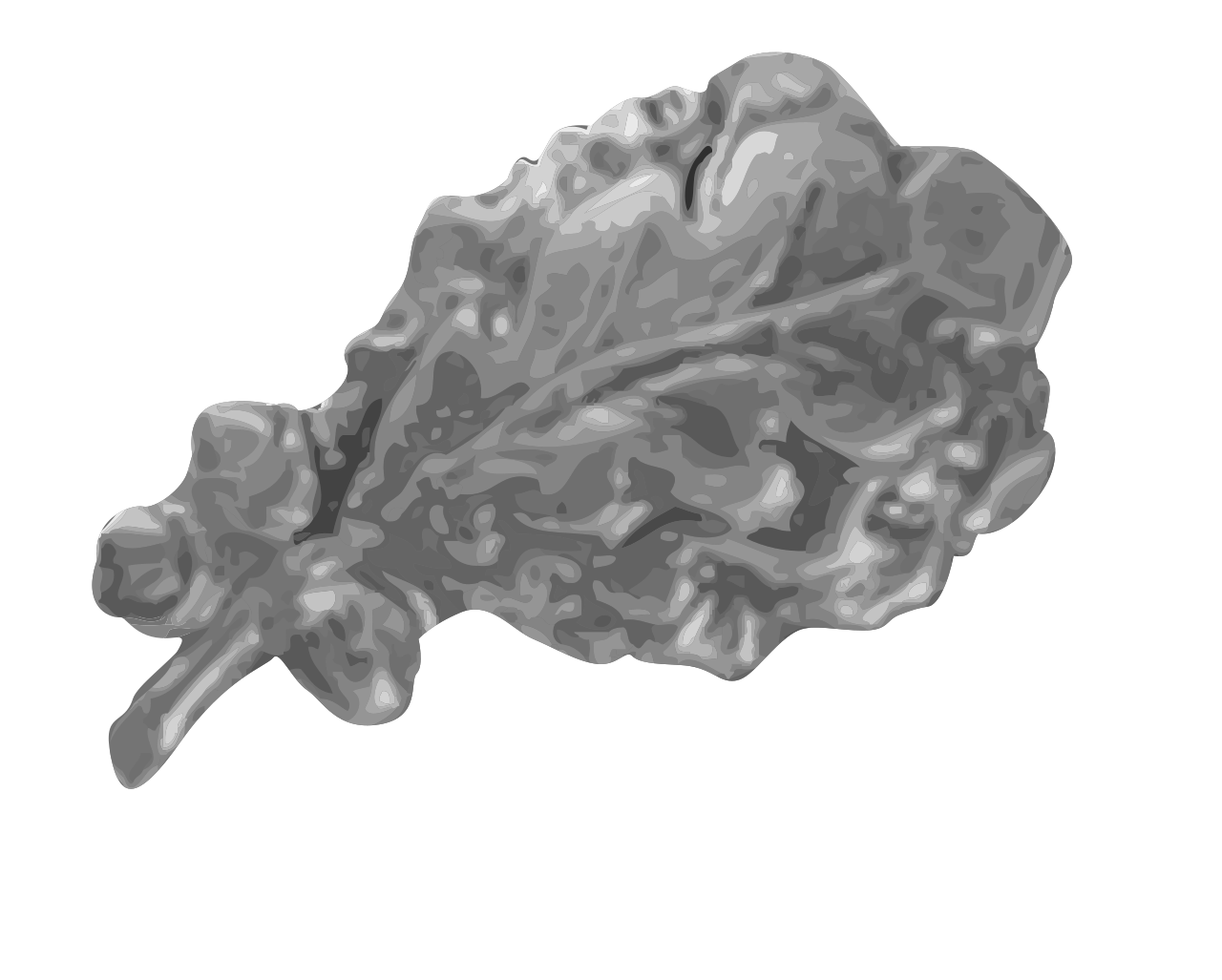 Silver oakleaf-3d.svg