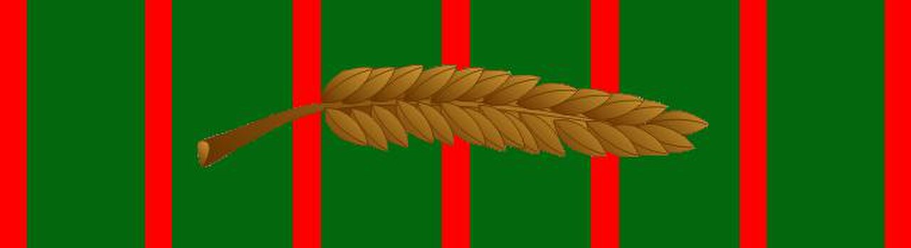 Croix de guerre 1914-1918 with palm.jpg