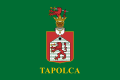 Flag of Tapolca