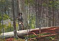 Hunter in the Adirondacks (1892) by Winslow Homer