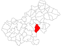 Location in Satu Mare County
