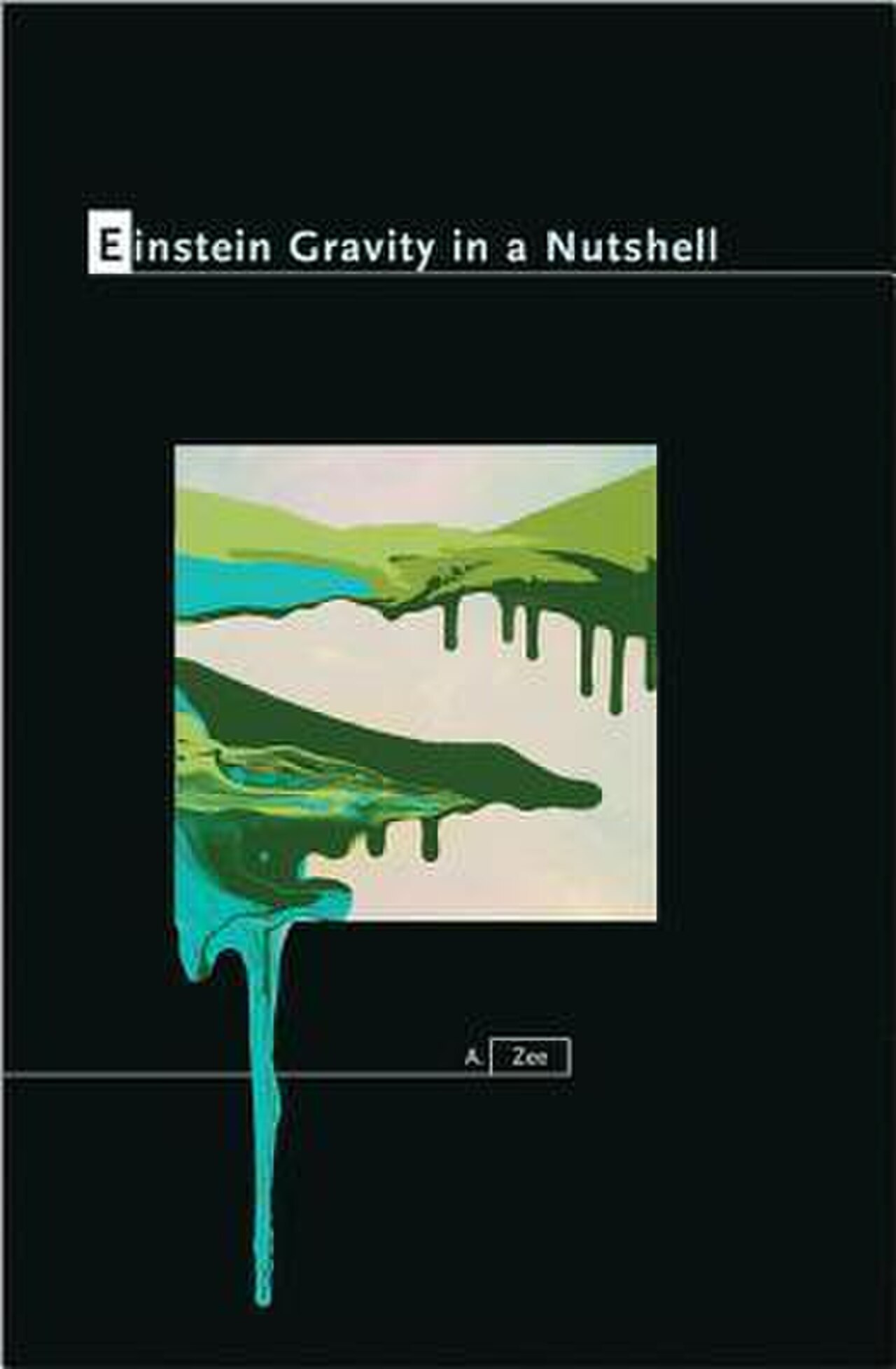 Einstein Gravity in a Nutshell (Book Cover).jpeg