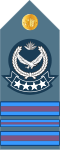 Master warrant officer