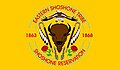 Shoshone Flag