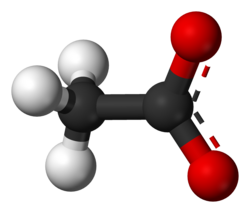 Ball-and-stick model of the acetate anion