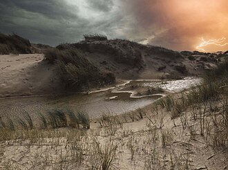 De Hors, Sjoerd Martens, Texel, National Park