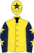 Yellow, dark blue sleeves, yellow stars, yellow cap, dark blue star