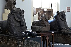 Photo of Tanite sphinxes in a museum