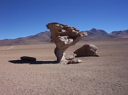 The Árbol de Piedra is a 7-metre-tall ventifact in the Altiplano region of Bolivia (Wilken, 2002).