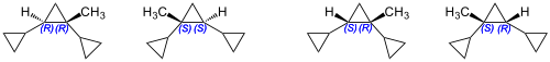Four Syntin Stereoisomers