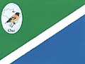 Flag of Municipality of Chuí