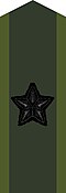 Collar patch on field uniform M90 for a brigadier general[c] (2002–present)