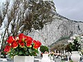 North Front Cemetery