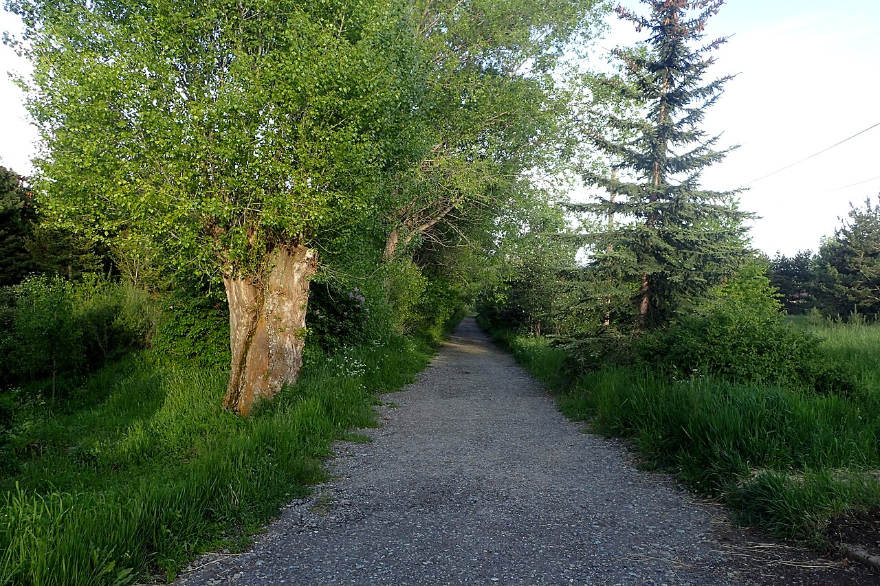 Sevan Botanical Garden kz3.jpg
