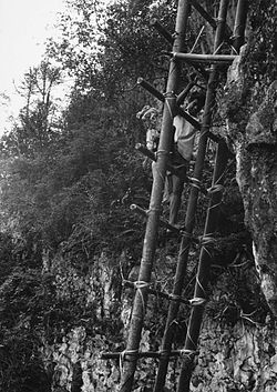 A ladder used for ceremonial purposes in Indonesia