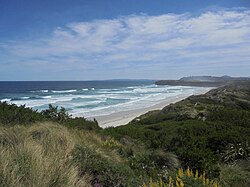 Tomahawk Beach from the northeast, showing Lawyers Head