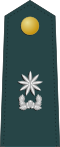 Junior commander